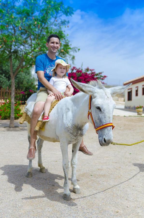 בית הארחה Fuente Alamo  	Finca Liarte מראה חיצוני תמונה