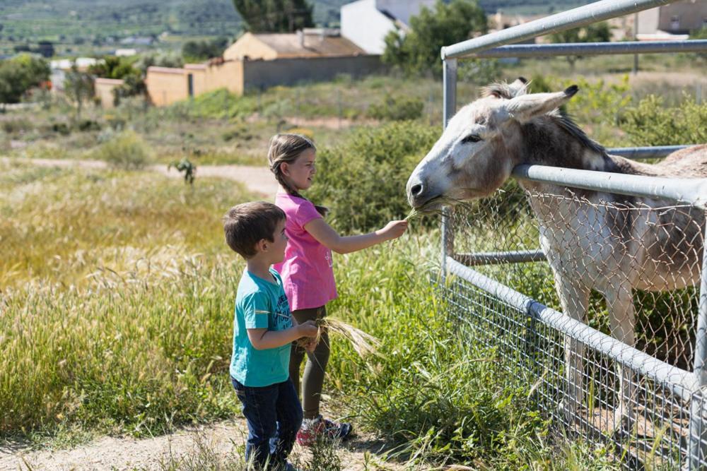 בית הארחה Fuente Alamo  	Finca Liarte מראה חיצוני תמונה